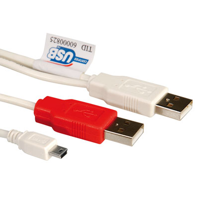 CABLE 2X USB A / 5 PINS 1 ,8 METROS