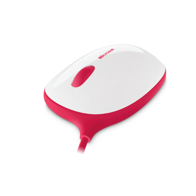 RATON MICROSOFT EXPRESS