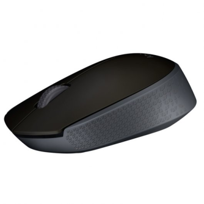 RATON LOGITECH WIRELESS M171