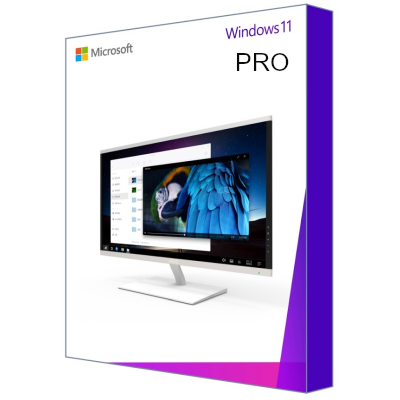 WINDOWS 11 PRO